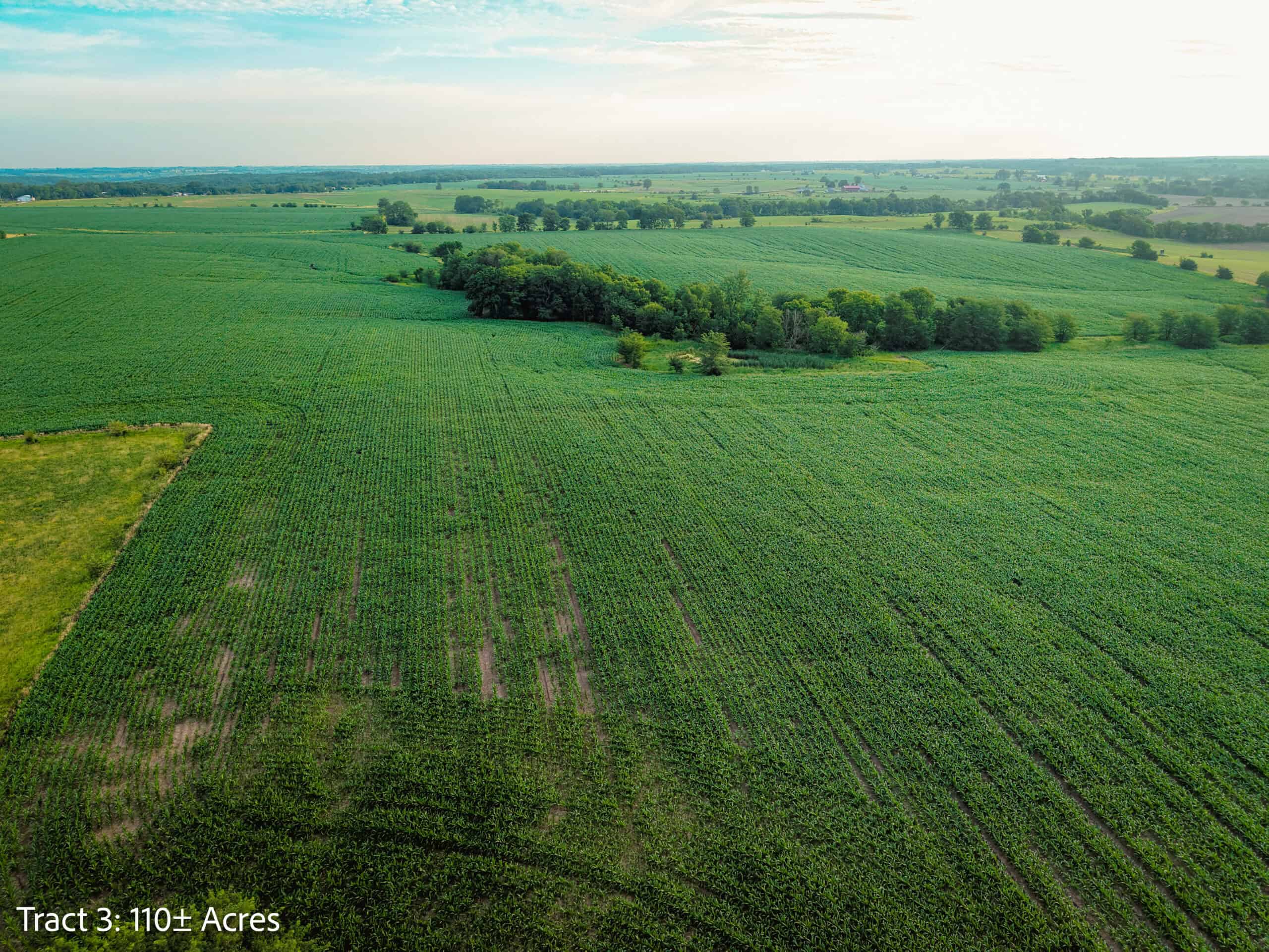 ±110-acre Lucas County farm near Woodburn IA