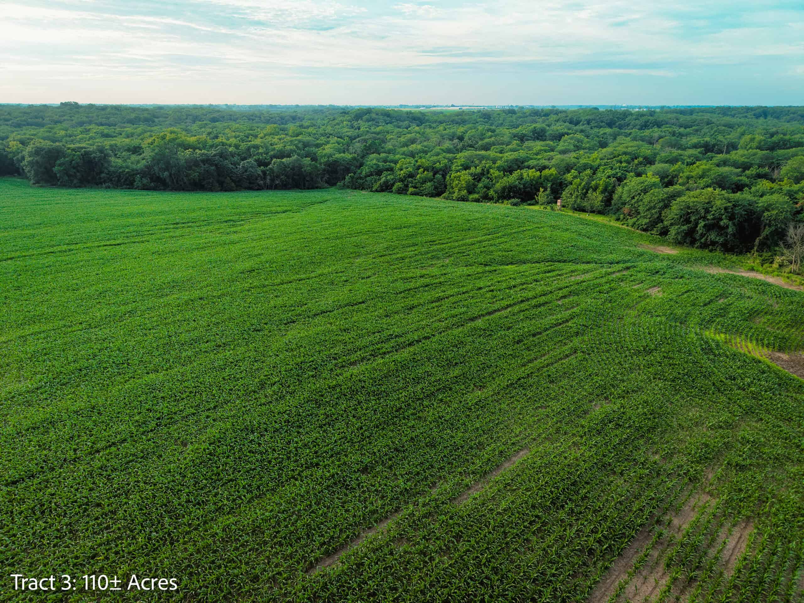±110-acre Lucas County farm near Woodburn IA