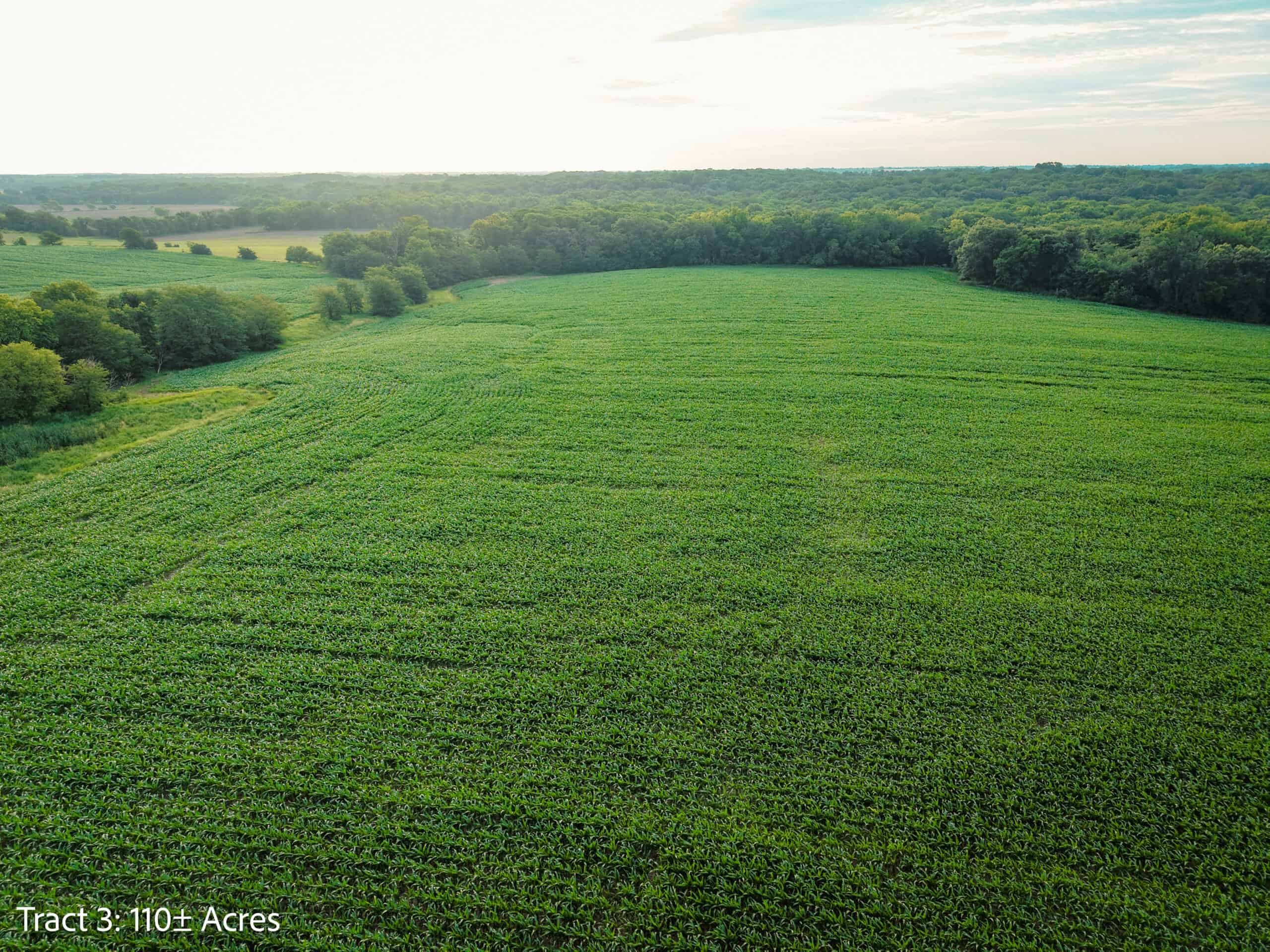 ±110-acre Lucas County farm near Woodburn IA