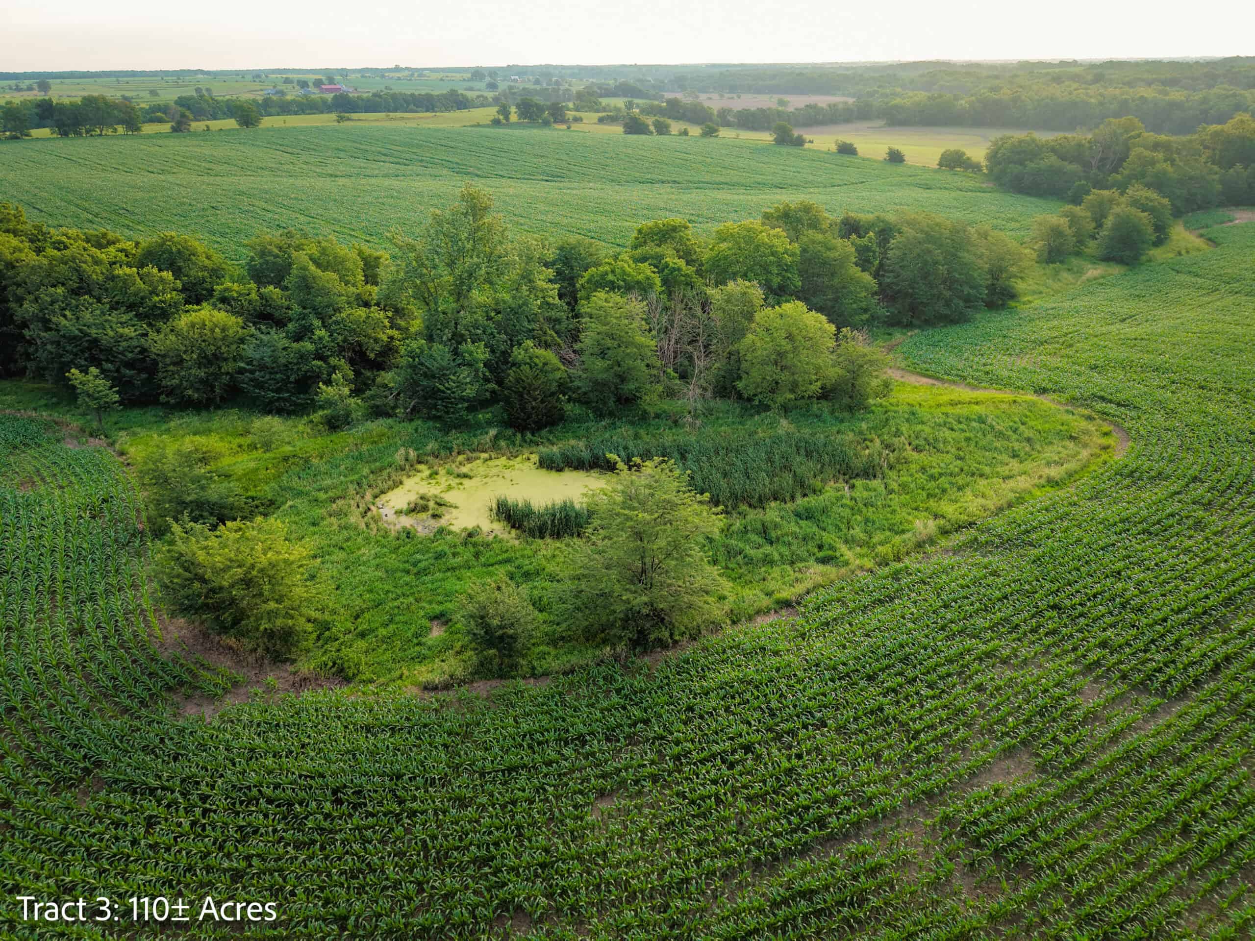 ±110-acre Lucas County farm near Woodburn IA