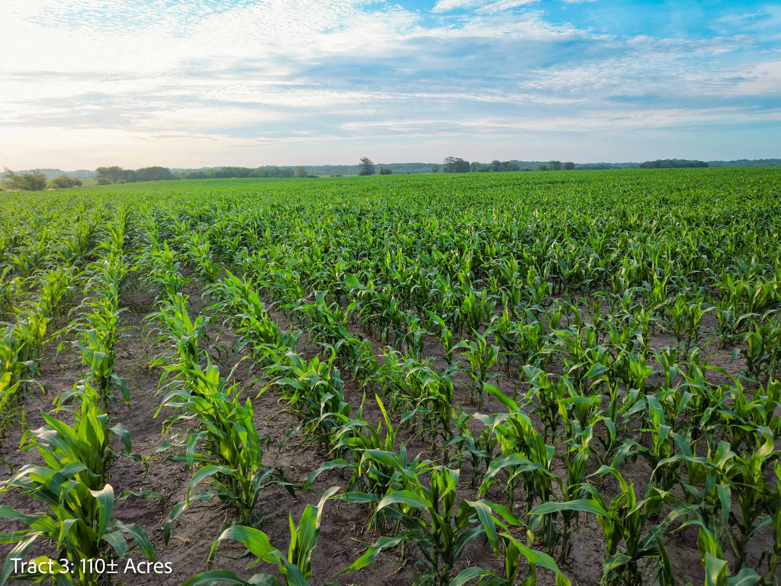±110-acre Lucas County farm near Woodburn IA