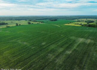 ±110-acre Lucas County farm near Woodburn IA