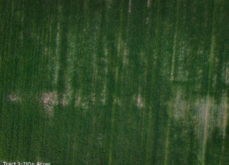 ±110-acre Lucas County farm near Woodburn IA