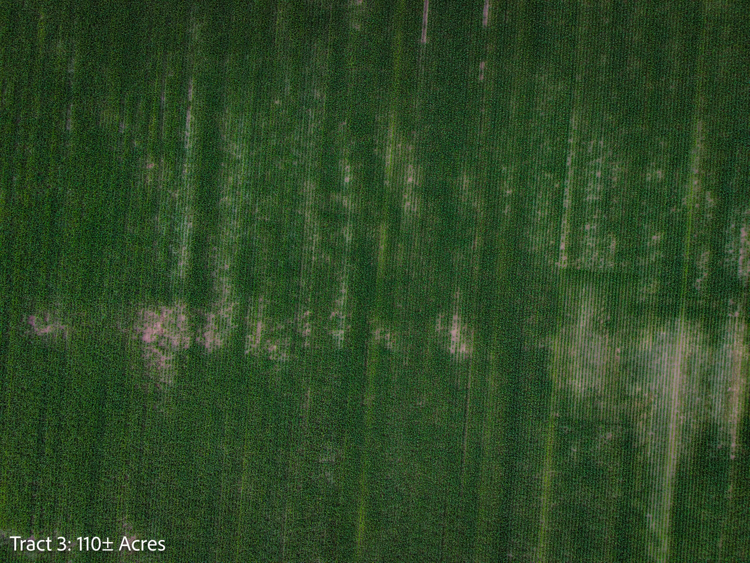 ±110-acre Lucas County farm near Woodburn IA