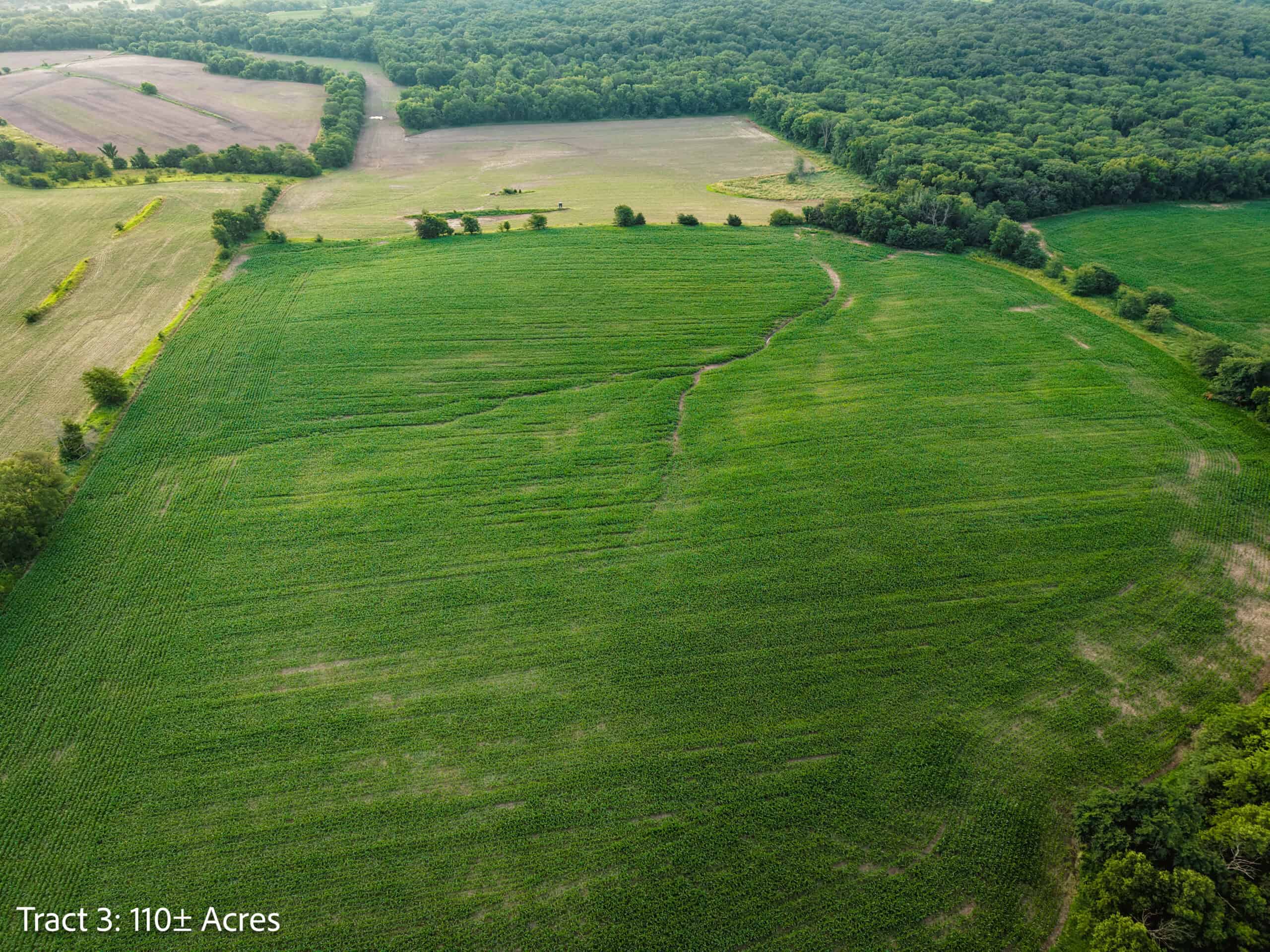 ±110-acre Lucas County farm near Woodburn IA