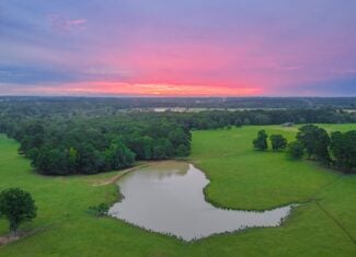 East TX Cattle Ranch & Hunting Land, Marshall Tx For Sale
