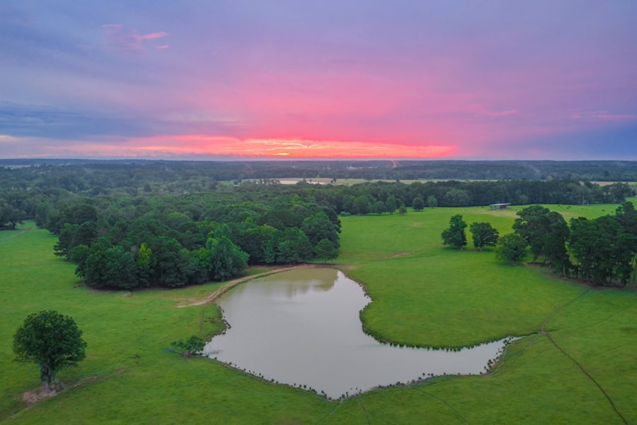 East TX Cattle Ranch & Hunting Land, Marshall Tx For Sale