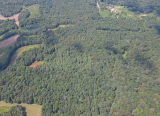 147 Acre Hunting Farm in Weakley County TN with Timber