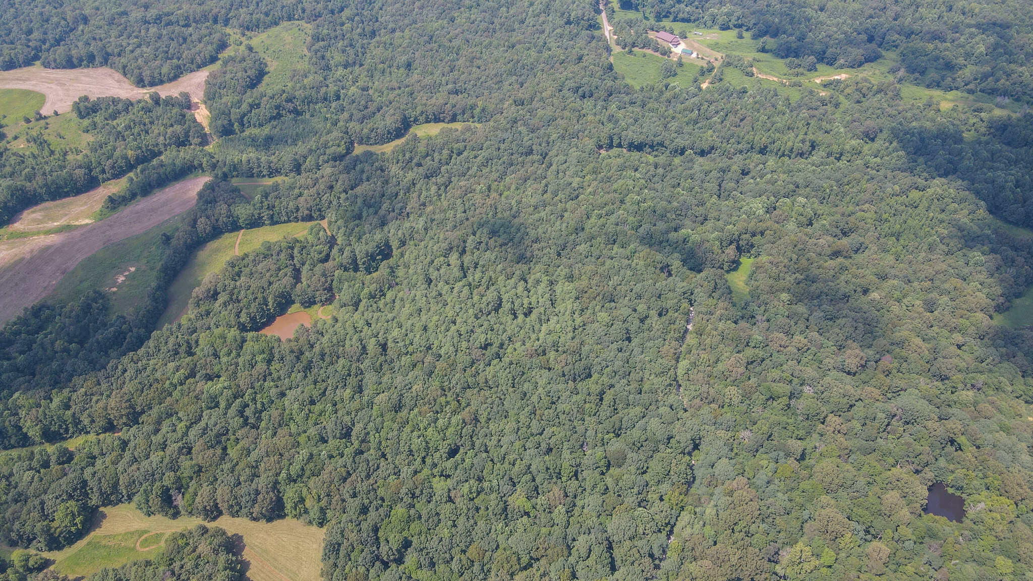 147 Acre Hunting Farm in Weakley County TN with Timber