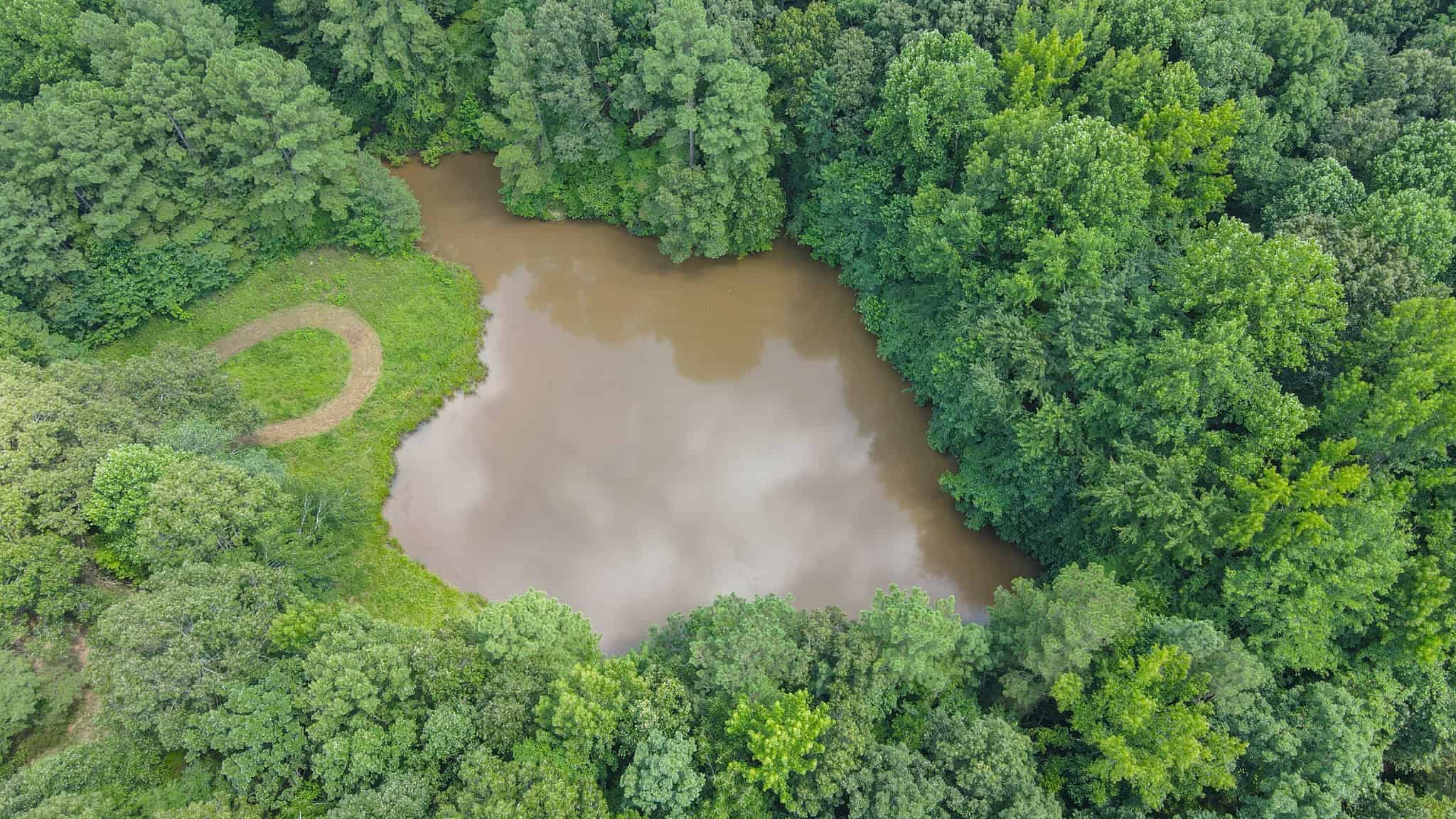 147 Acre Hunting Farm in Weakley County TN with Timber