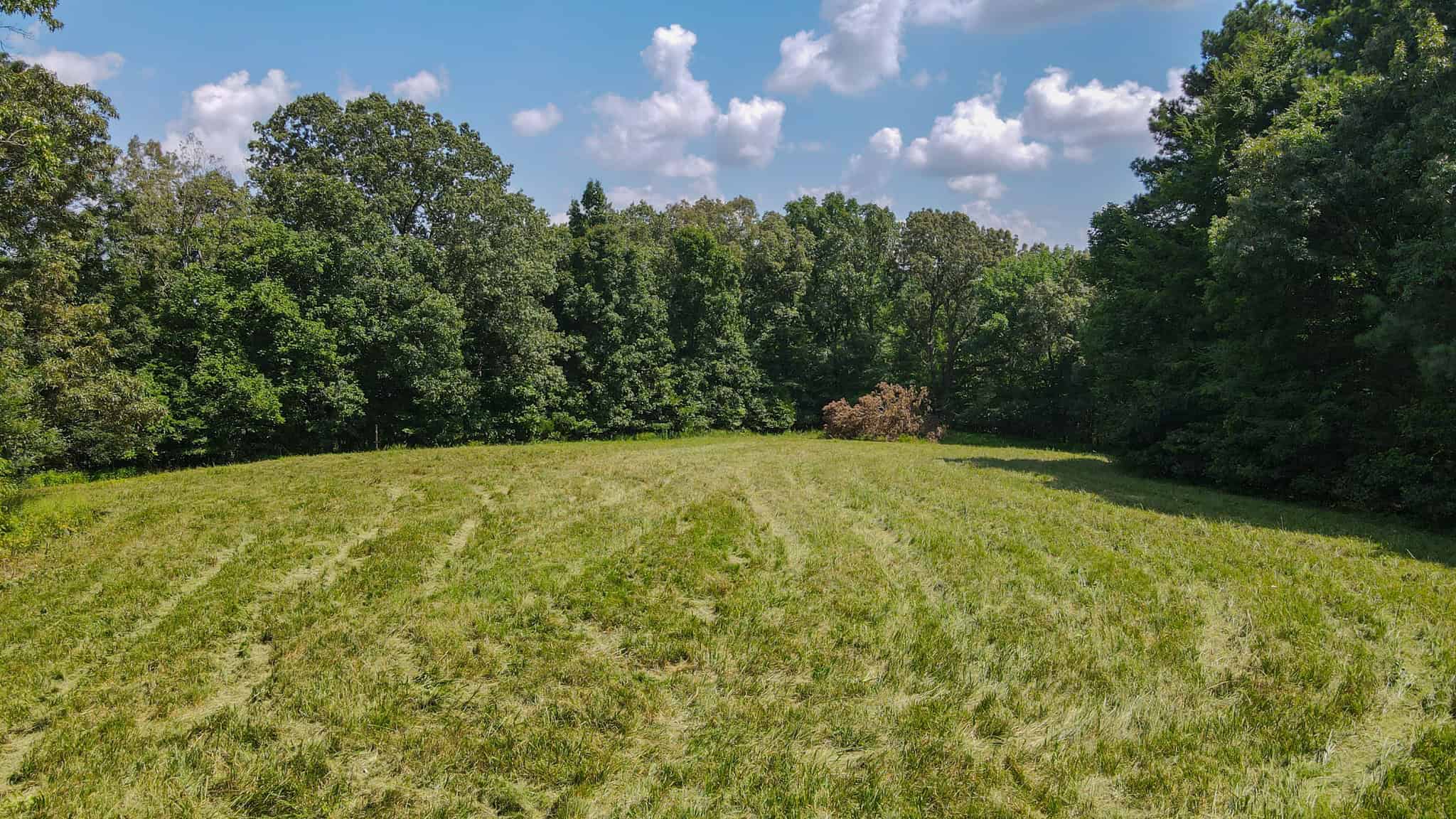 147 Acre Hunting Farm in Weakley County TN with Timber