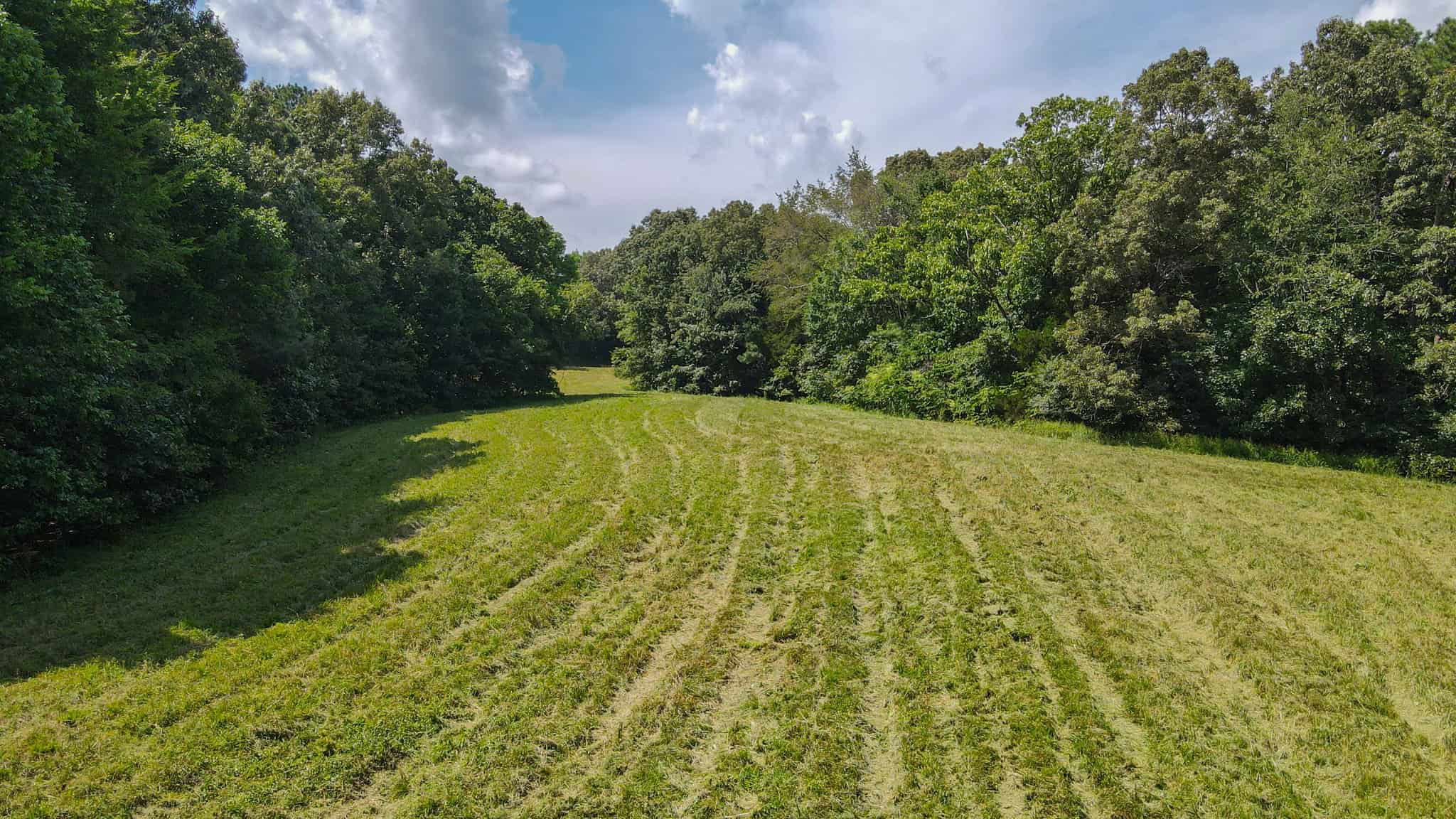 147 Acre Hunting Farm in Weakley County TN with Timber
