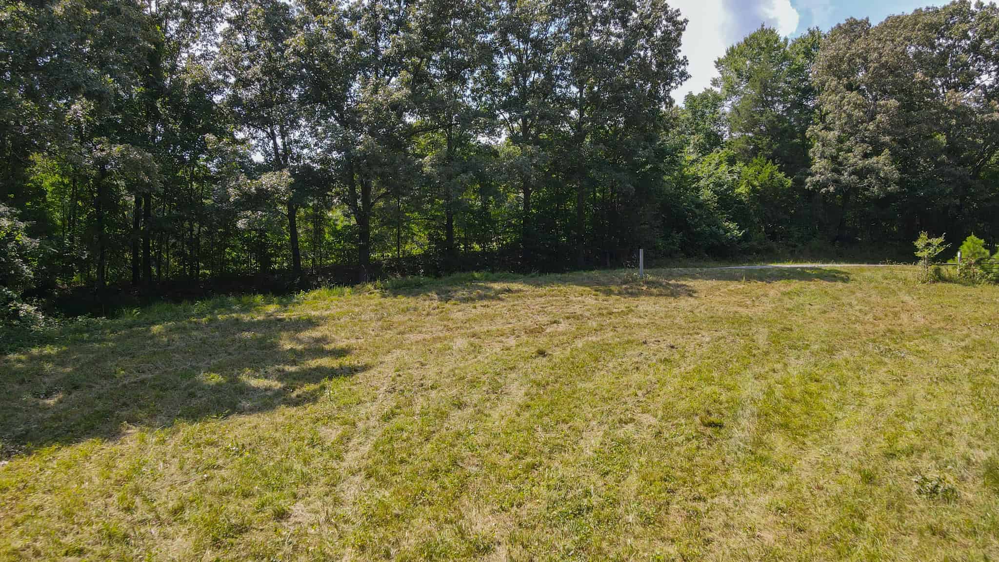 147 Acre Hunting Farm in Weakley County TN with Timber