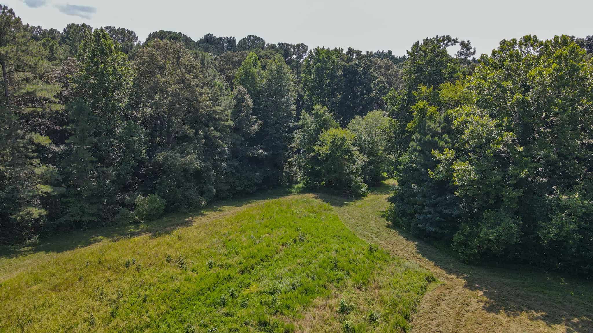 147 Acre Hunting Farm in Weakley County TN with Timber