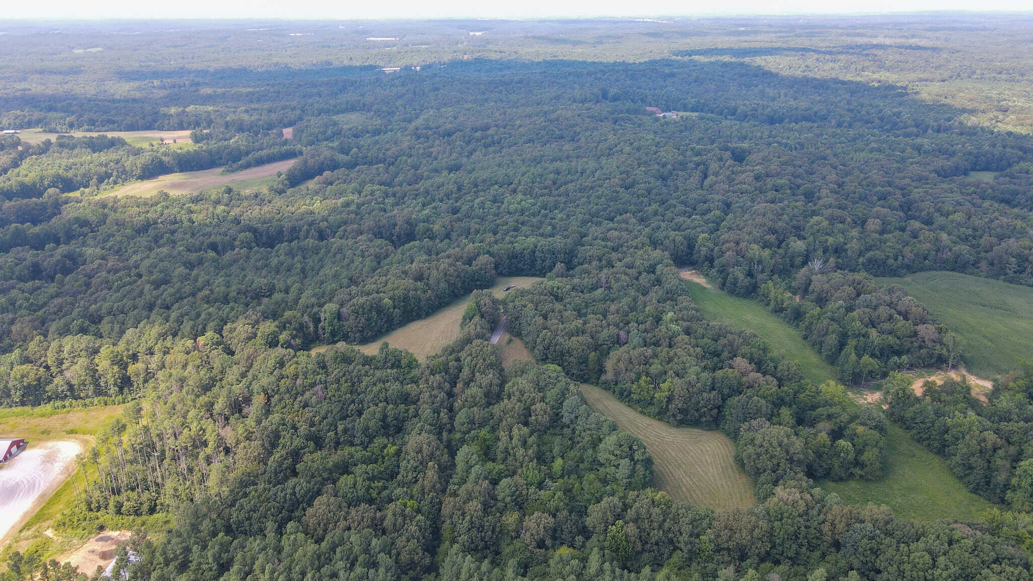147 Acre Hunting Farm in Weakley County TN with Timber