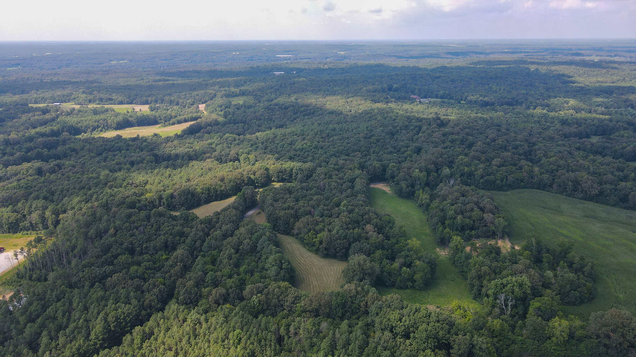 147 Acre Hunting Farm in Weakley County TN with Timber
