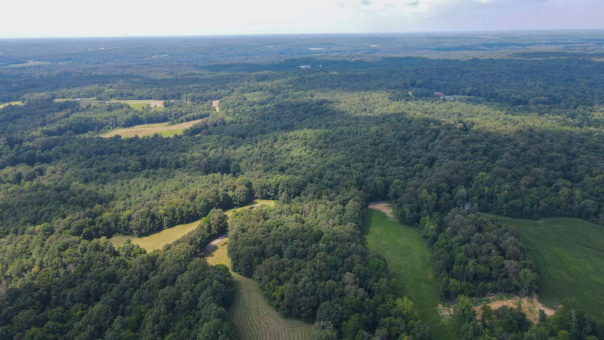 147 Acre Hunting Farm in Weakley County TN with Timber