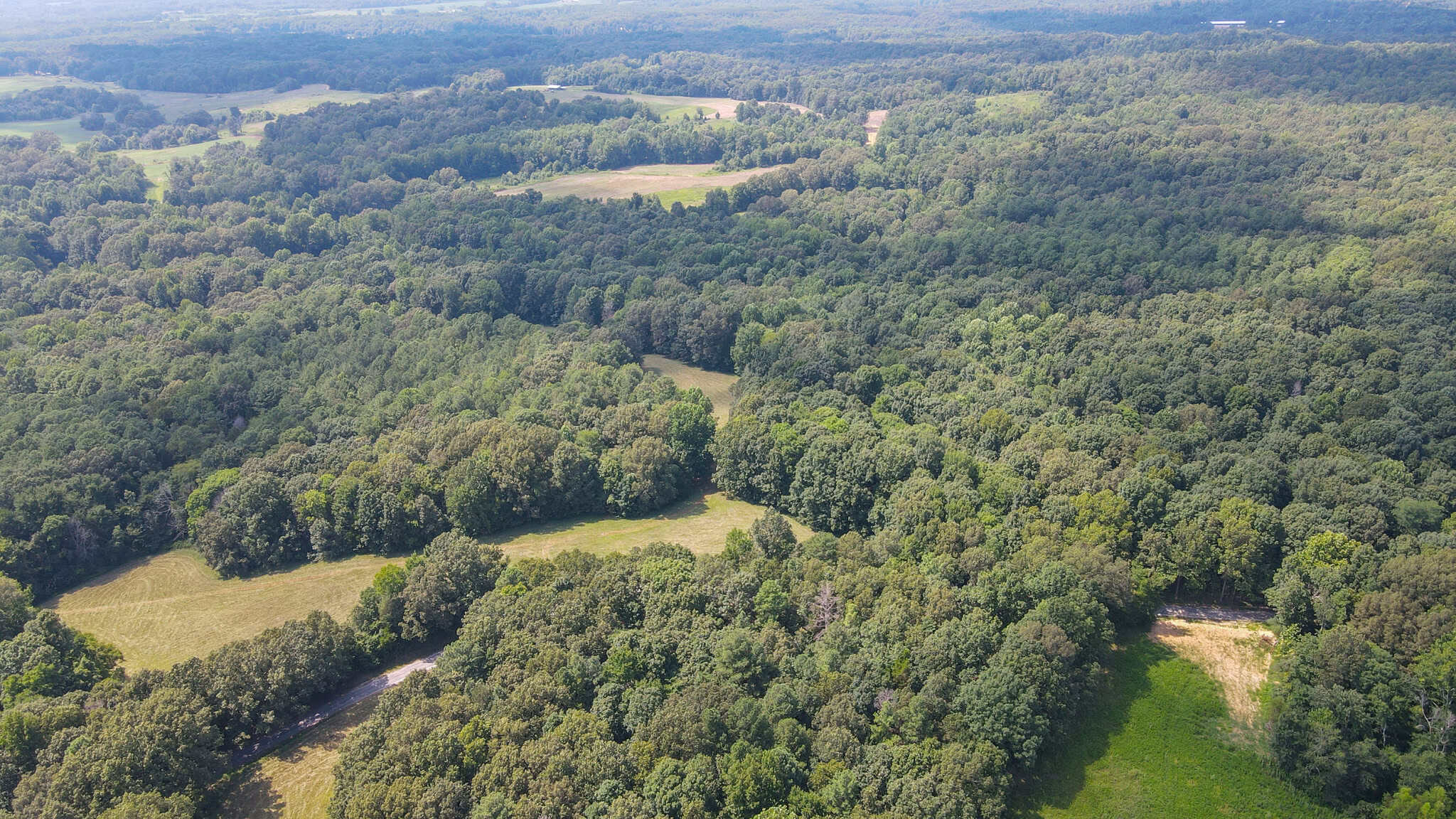 147 Acre Hunting Farm in Weakley County TN with Timber