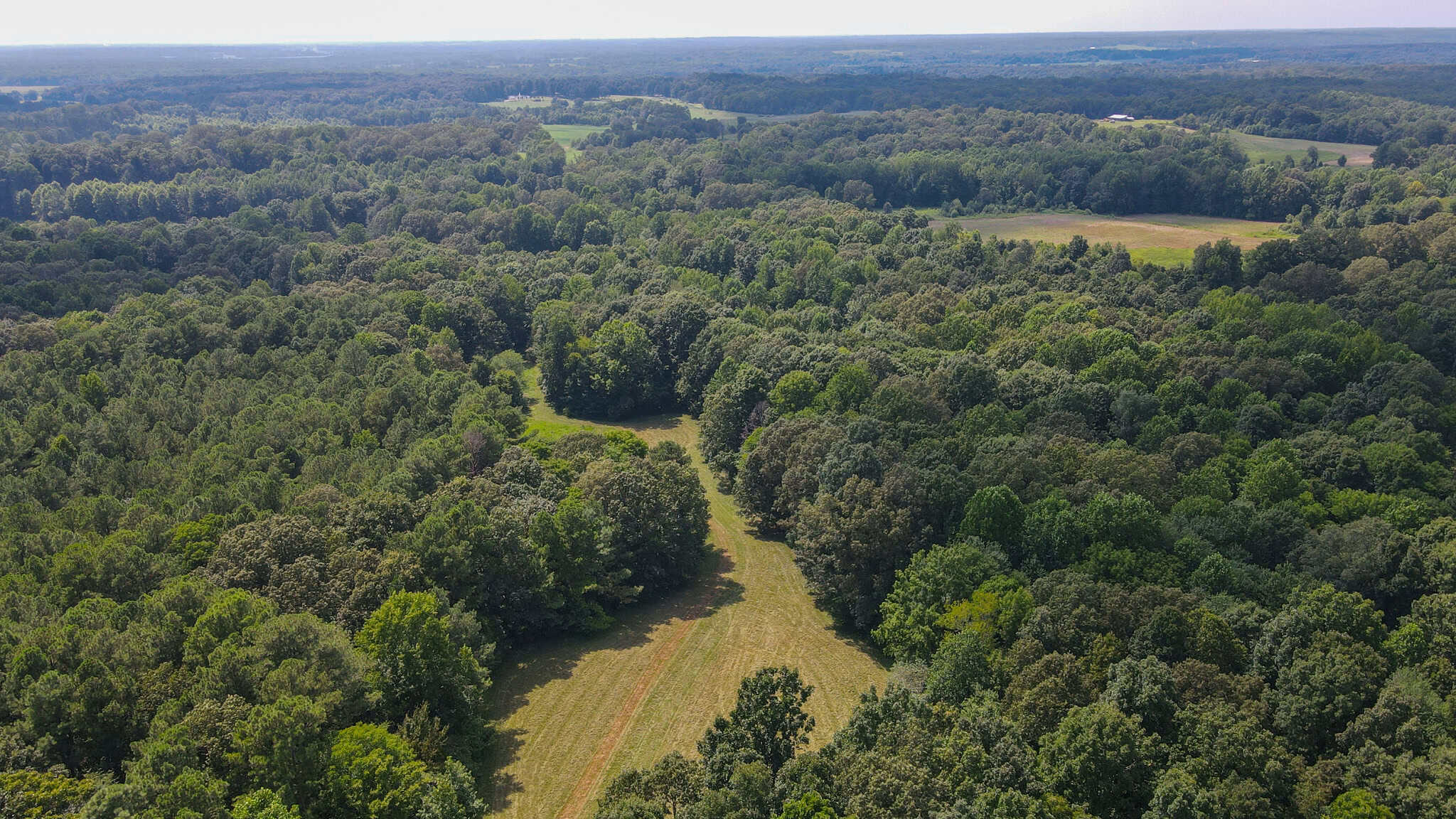 147 Acre Hunting Farm in Weakley County TN with Timber