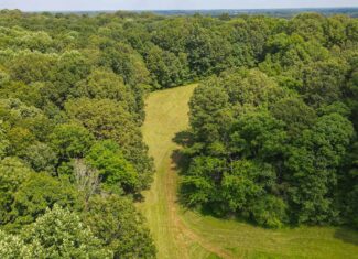 147 Acre Hunting Farm in Weakley County TN with Timber