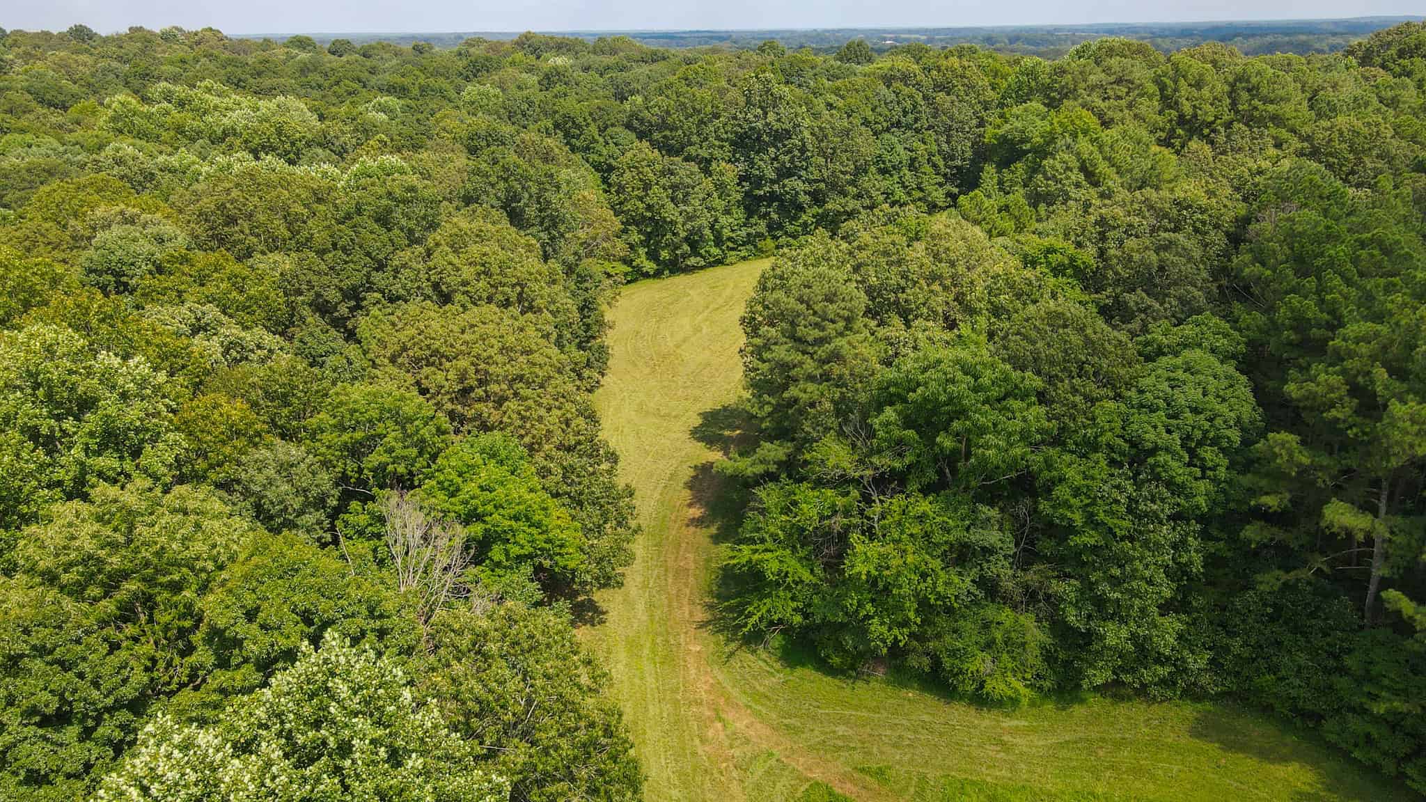 147 Acre Hunting Farm in Weakley County TN with Timber