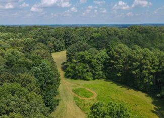 147 Acre Hunting Farm in Weakley County TN with Timber