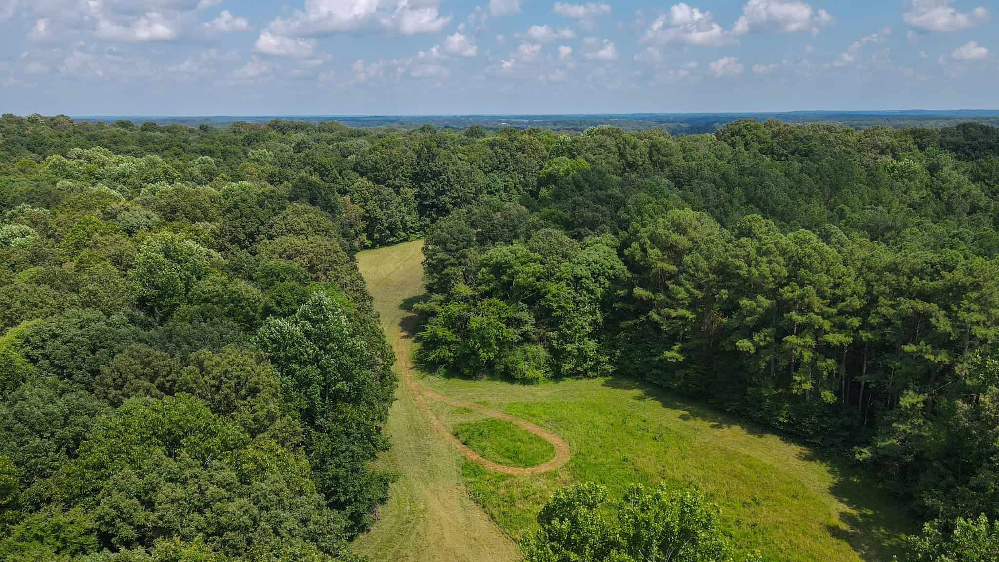147 Acre Hunting Farm in Weakley County TN with Timber