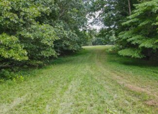 147 Acre Hunting Farm in Weakley County TN with Timber