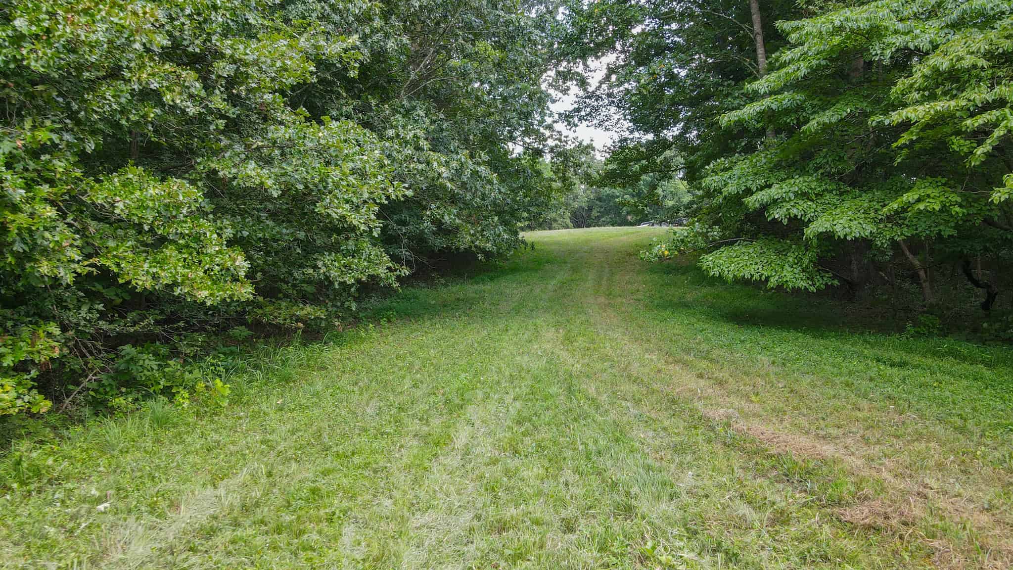 147 Acre Hunting Farm in Weakley County TN with Timber