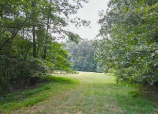 147 Acre Hunting Farm in Weakley County TN with Timber