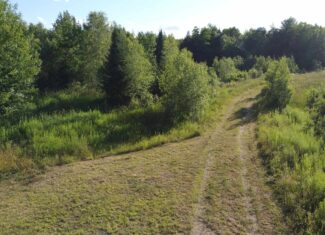 Expansive 195 Acre Parcel – Reed Plantation, Maine
