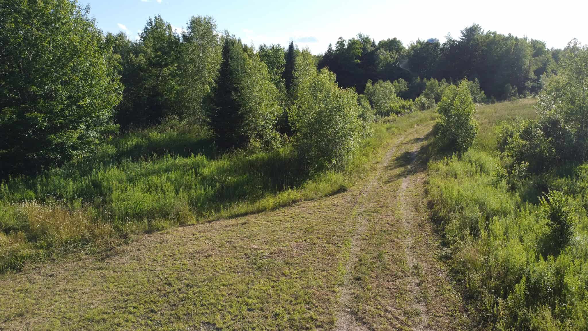 Expansive 195 Acre Parcel – Reed Plantation, Maine