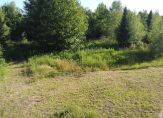 Expansive 195 Acre Parcel – Reed Plantation, Maine