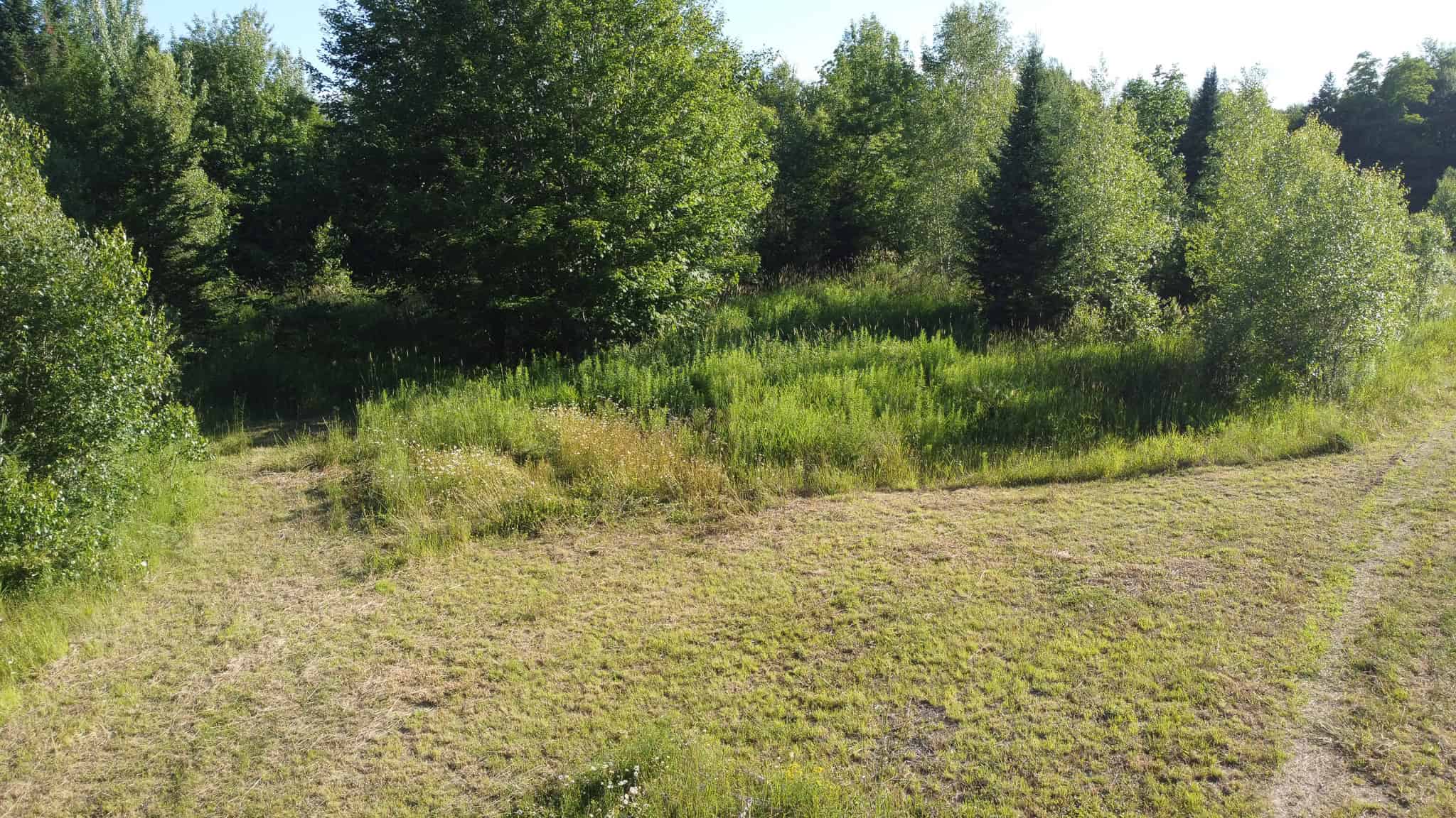 Expansive 195 Acre Parcel – Reed Plantation, Maine