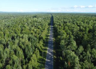 Expansive 195 Acre Parcel – Reed Plantation, Maine