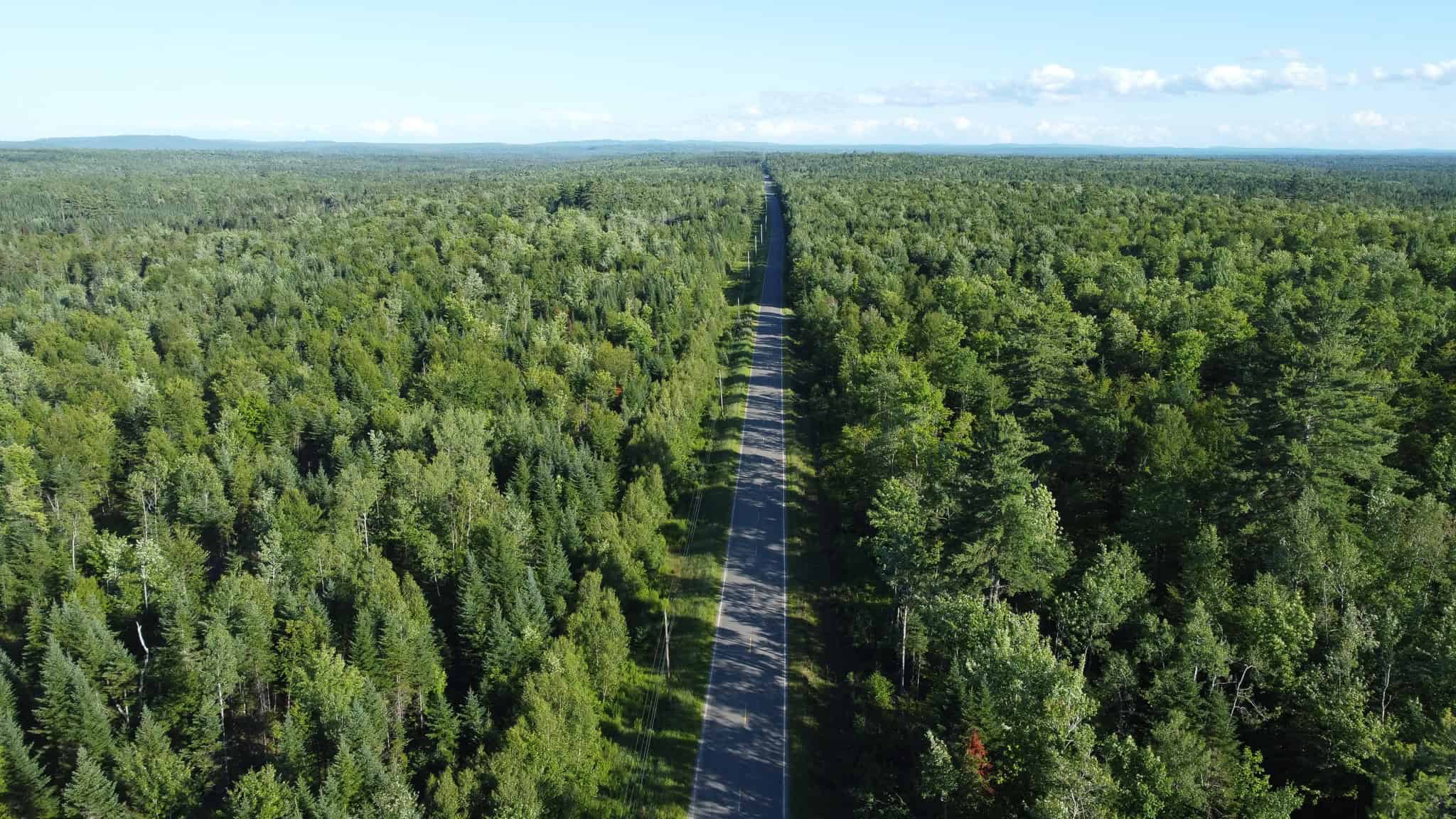 Expansive 195 Acre Parcel – Reed Plantation, Maine