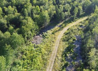 Expansive 195 Acre Parcel – Reed Plantation, Maine