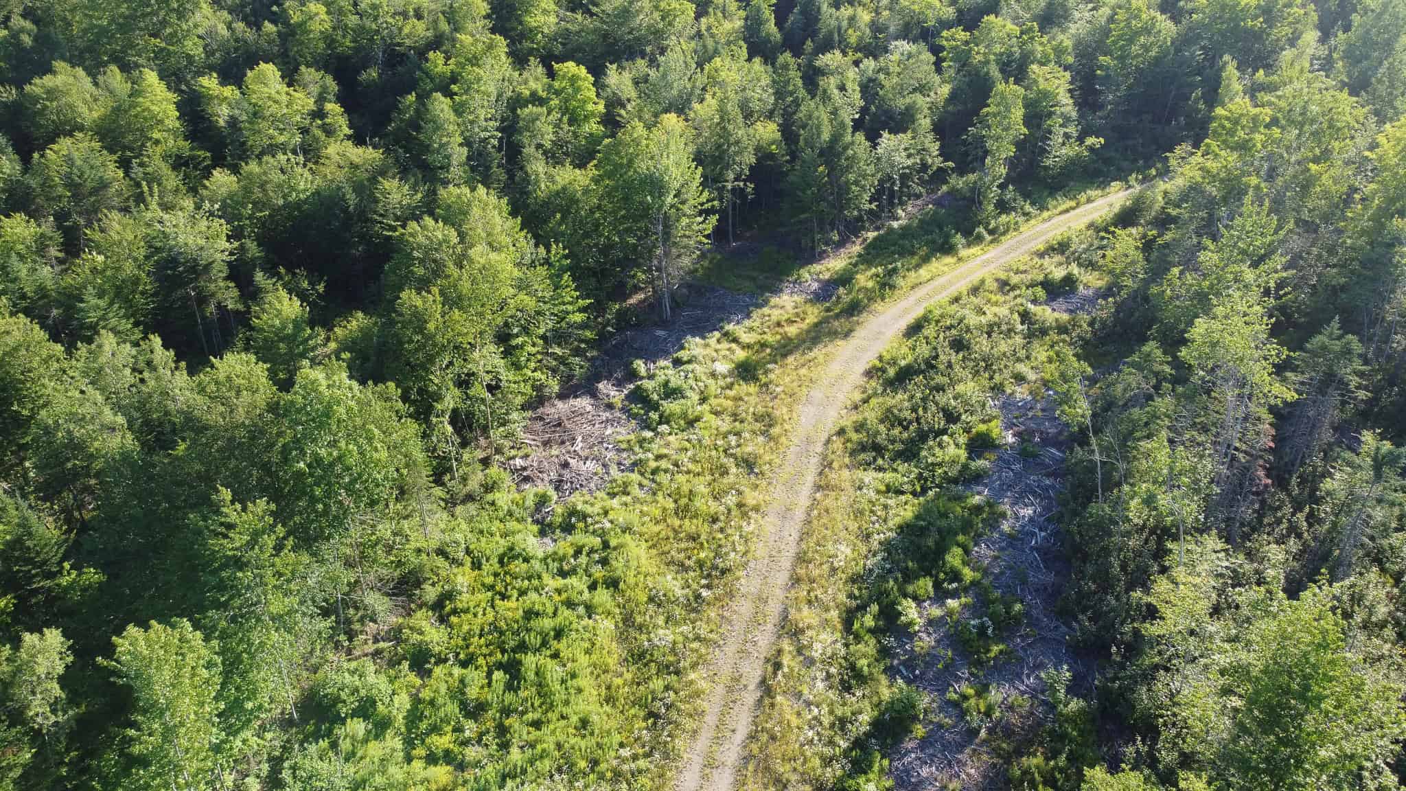 Expansive 195 Acre Parcel – Reed Plantation, Maine