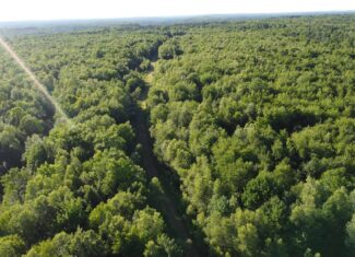 Expansive 195 Acre Parcel – Reed Plantation, Maine