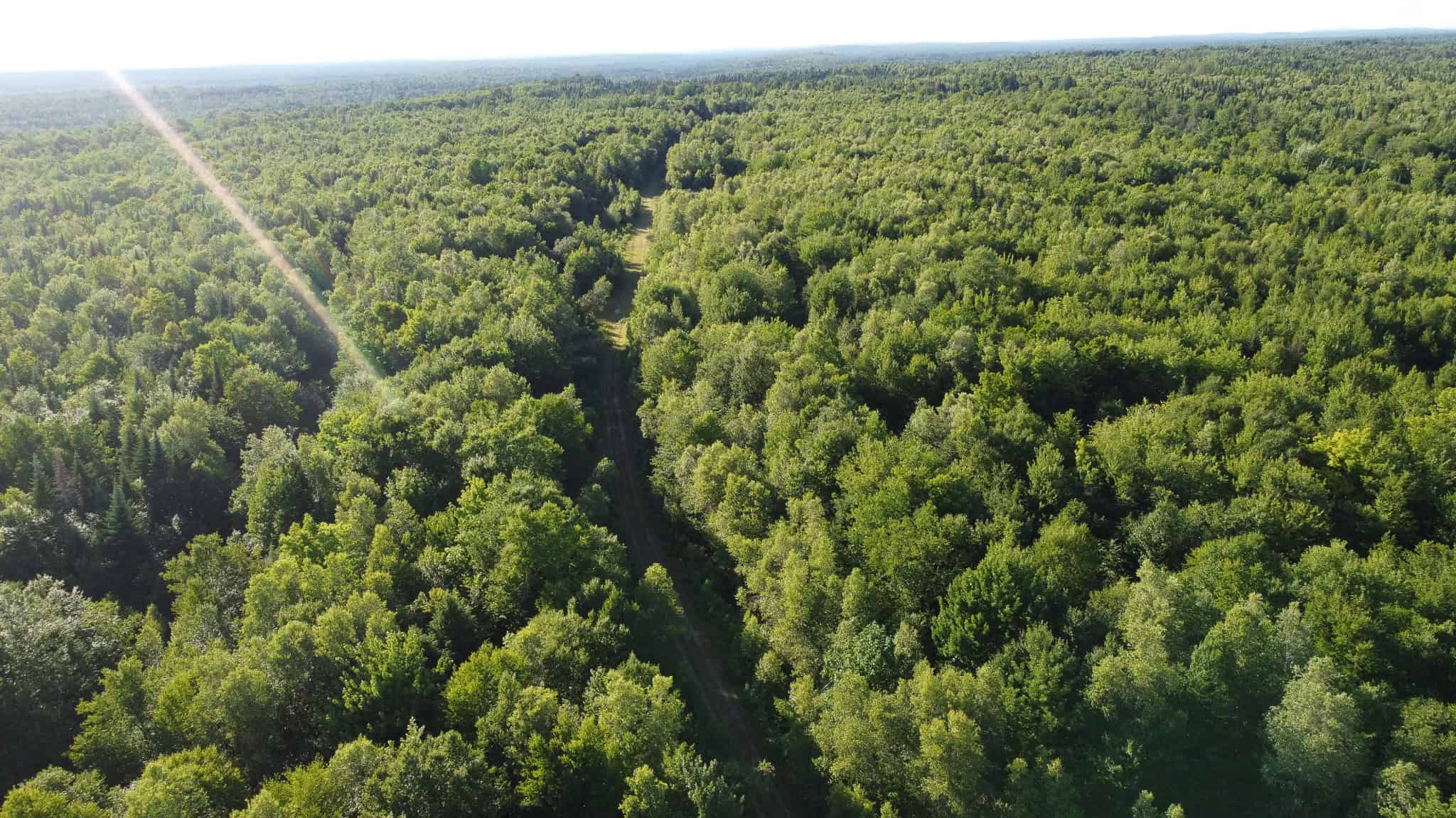 Expansive 195 Acre Parcel – Reed Plantation, Maine
