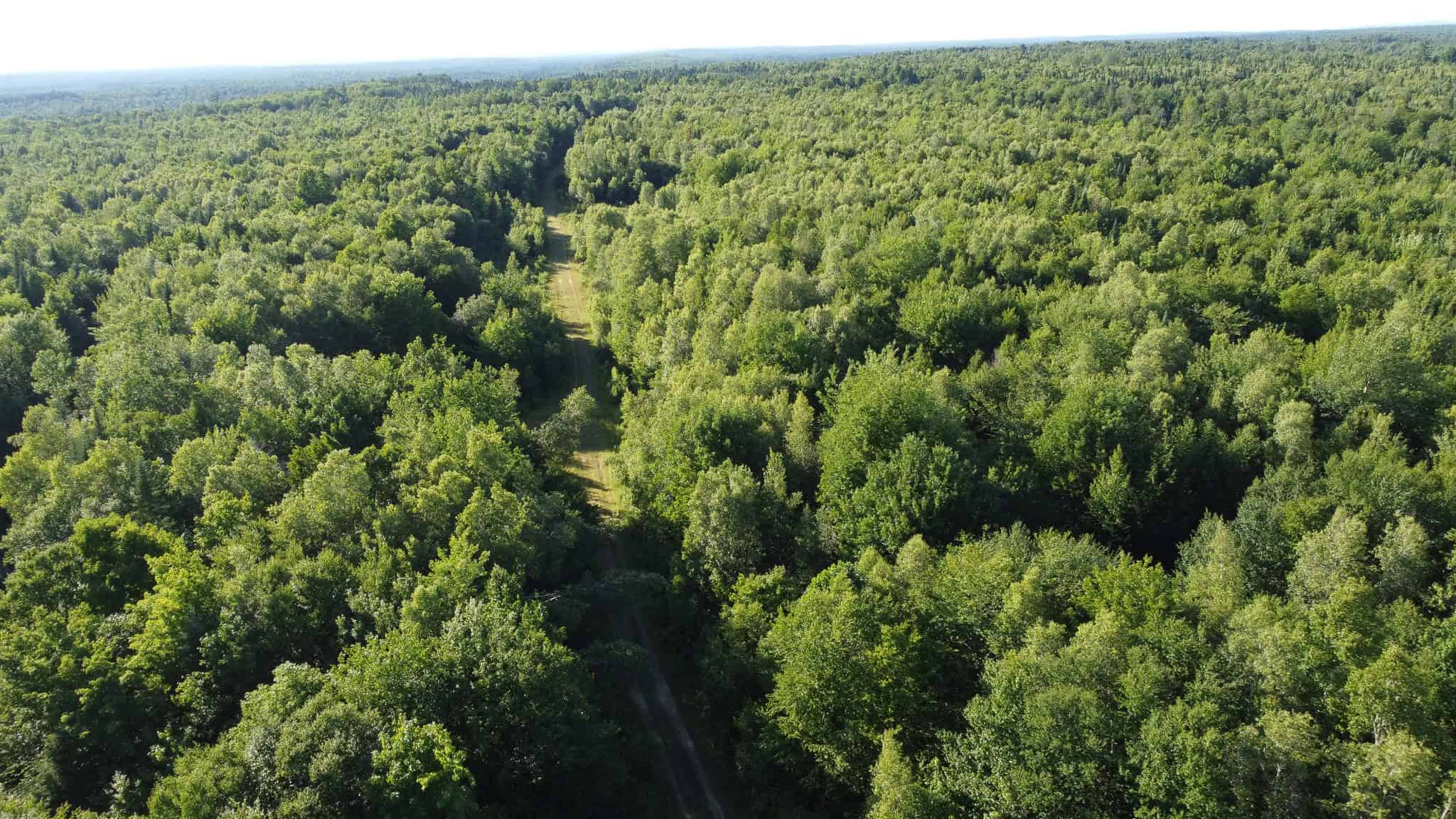 Expansive 195 Acre Parcel – Reed Plantation, Maine