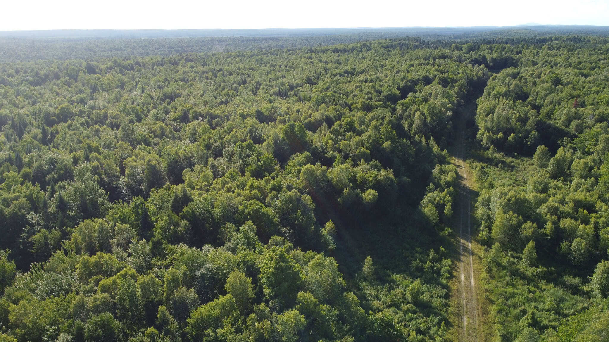 Expansive 195 Acre Parcel – Reed Plantation, Maine