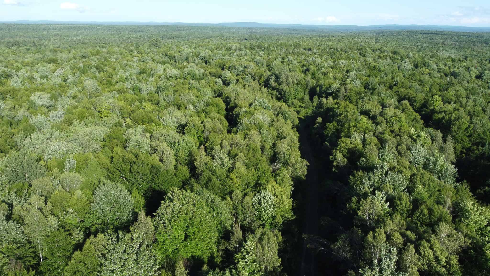 Expansive 195 Acre Parcel – Reed Plantation, Maine