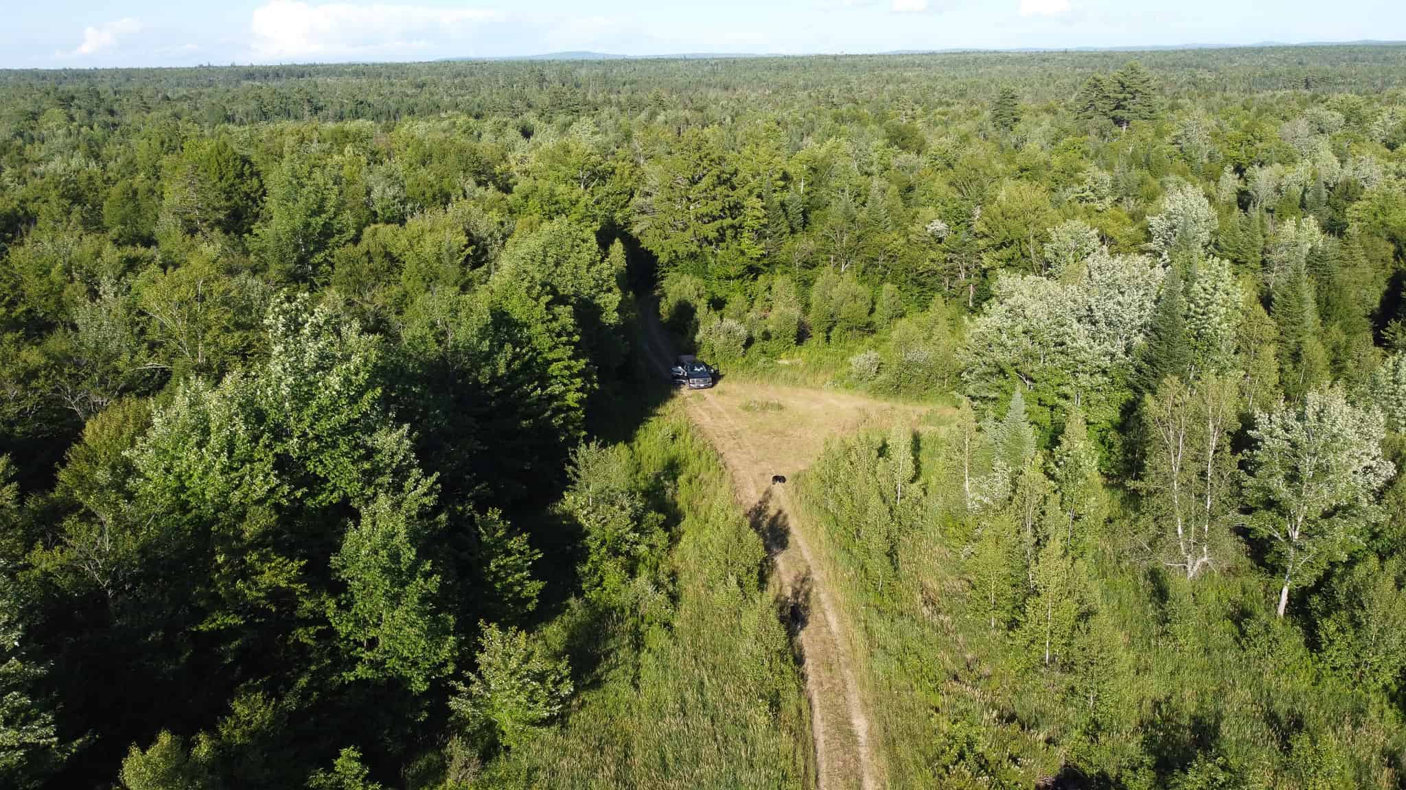 Expansive 195 Acre Parcel – Reed Plantation, Maine