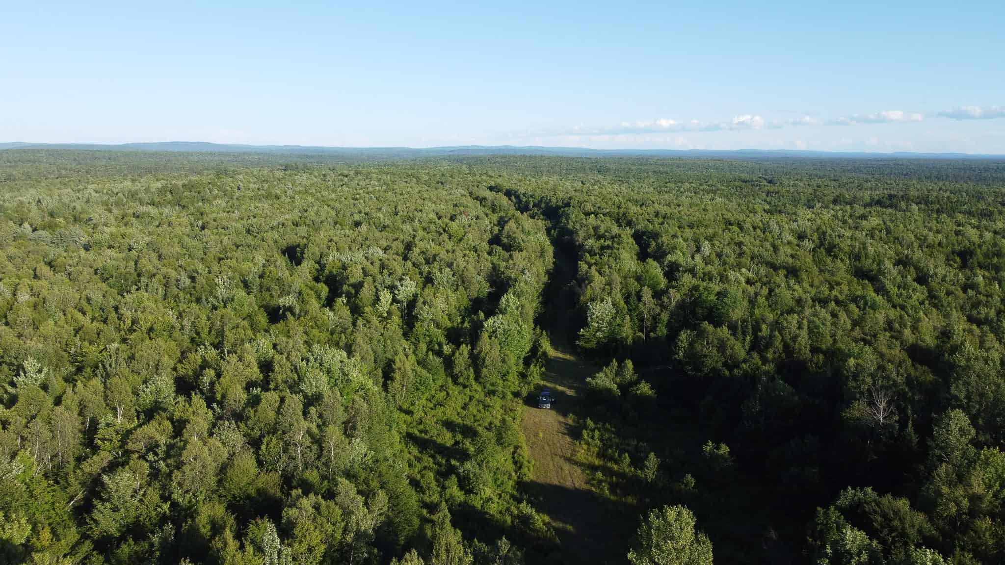 Expansive 195 Acre Parcel – Reed Plantation, Maine