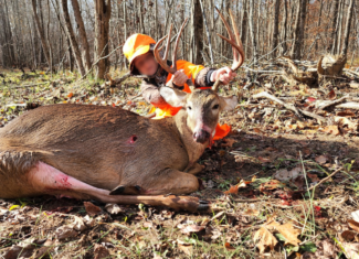 69 Acre Hunting Land For Sale in Lauderdale County, TN