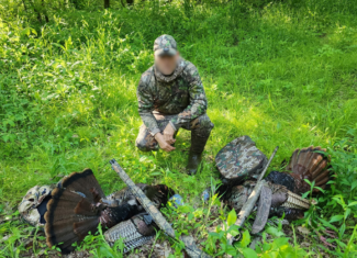 69 Acre Hunting Land For Sale in Lauderdale County, TN