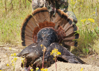 69 Acre Hunting Land For Sale in Lauderdale County, TN