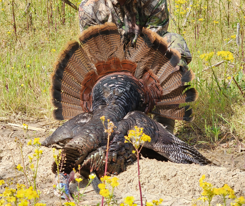 69 Acre Hunting Land For Sale in Lauderdale County, TN