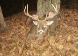 69 Acre Hunting Land For Sale in Lauderdale County, TN